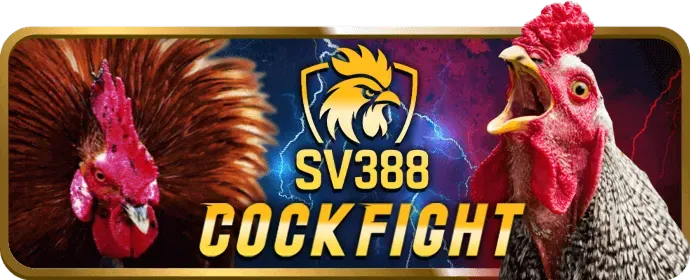 i9bet Trải Nghiệm Mới